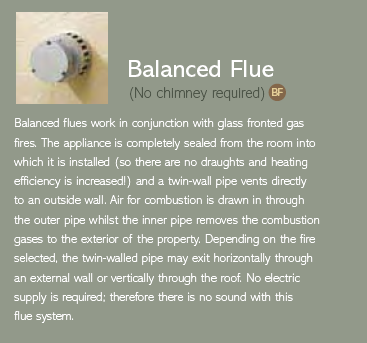 Balance Flue Explained