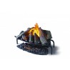 Dimplex Electric Opti-myst Basket Fire - The Dimplex Silverton with special effect lighting.