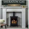 Free Standing Balanced Flue Gas Stove Gazco Sheraton 5