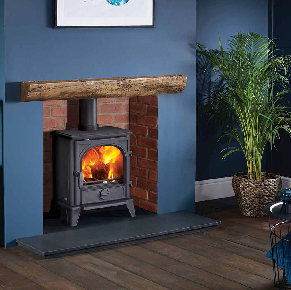 Rustic Wood-burning stove in a room with blue walls, a plant, and a shelf.