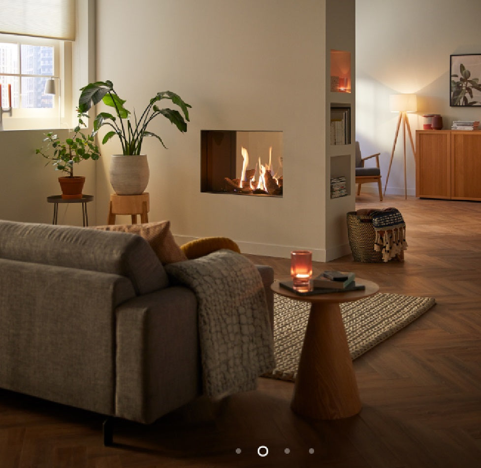 Trimline TL83-2T 2 Sided Tunnel Gas Fire Balanced Flue ,Burning Logs ,Black Glass Liners.